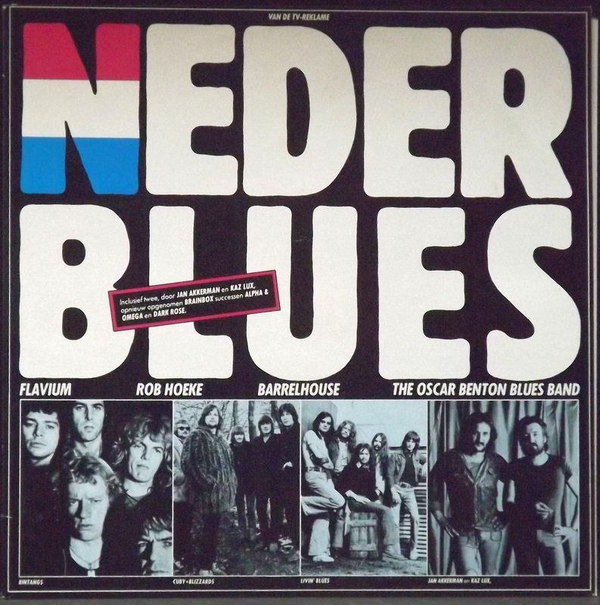 Various ‎– Nederblues (2lp)