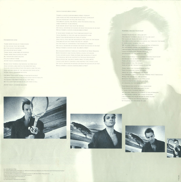 Sting – The Dream Of The Blue Turtles - Afbeelding 8