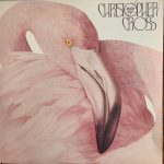 Christopher Cross – Another Page