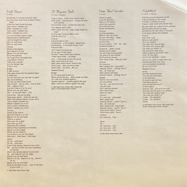 Stevie Nicks – The Wild Heart - Afbeelding 7